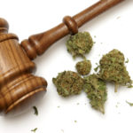 Law and Marijuana