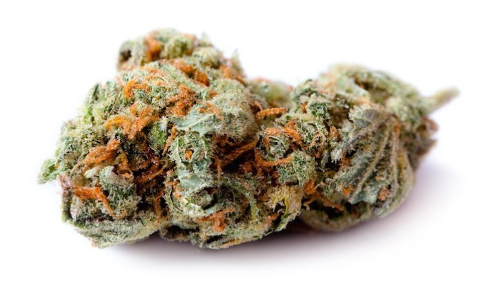 marijuana dose, medical hemp