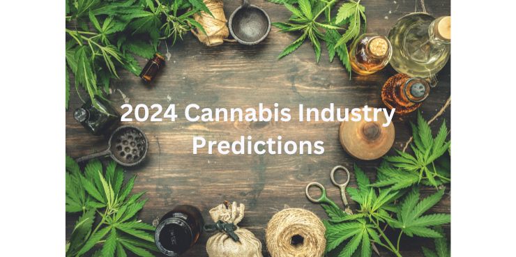 2024 Cannabis Industry Predictions.